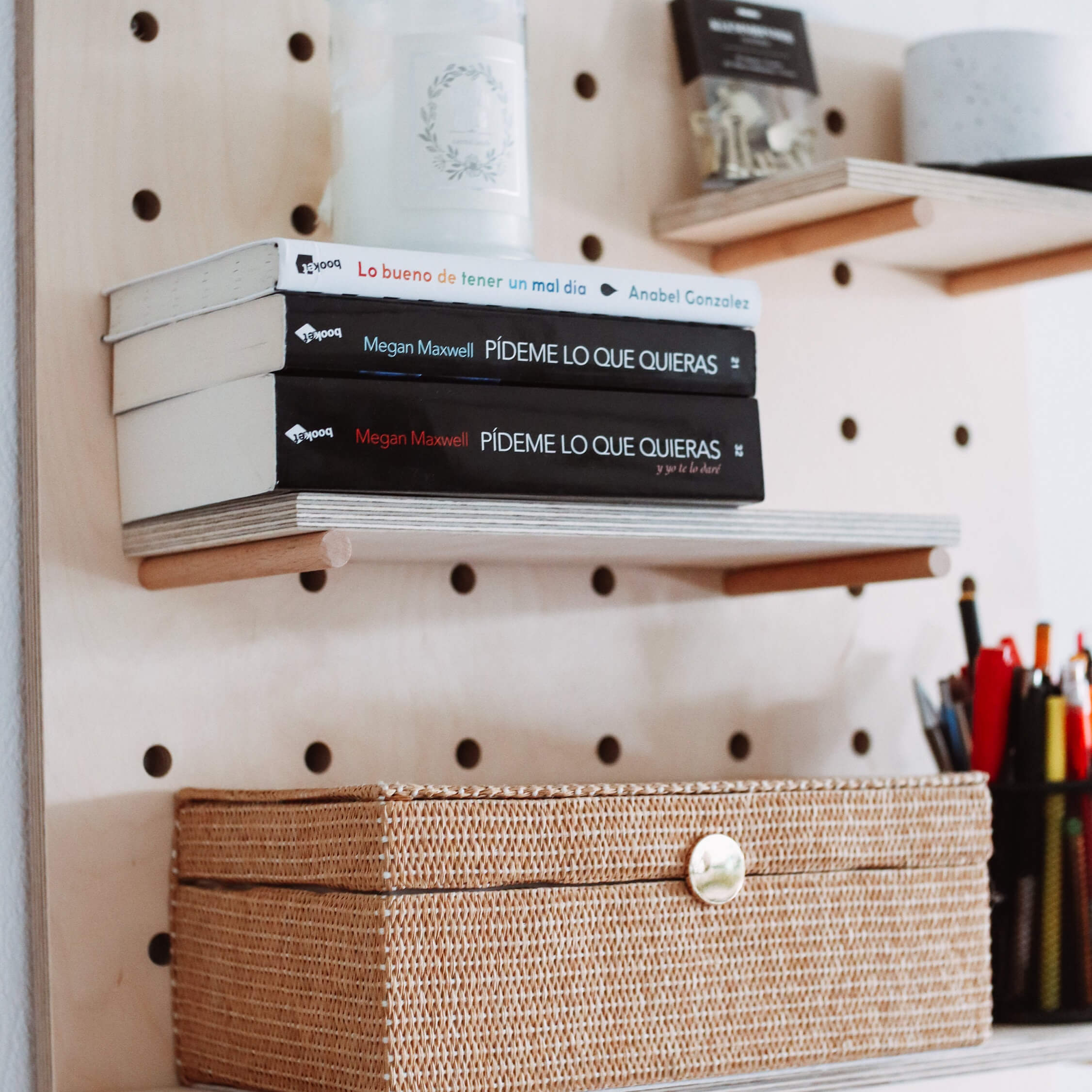 PegEverything Pegboard Allround Adaptation Display Iwoodliving